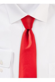 Seiden-Krawatte stilsicherer Lüster rot