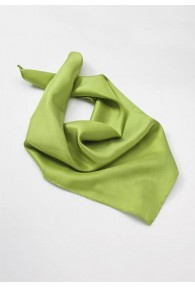 Grünes Halstuch Polyester