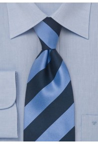 Krawatte Streifen hell- dunkelblau