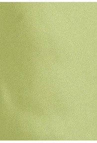 Krawatte in helles lindgrün