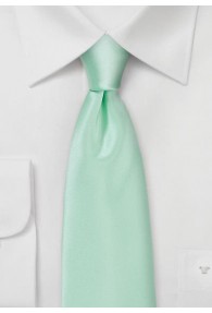 Modische Krawatte in mint