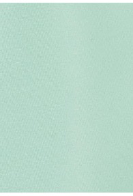 Modische Krawatte in mint