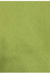 Clip-Krawatte  apfelgrün